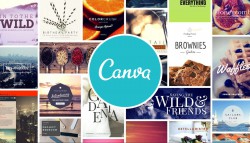 Hơn 666 từ khóa Canva (canva element keywords) tuyệt đẹp.